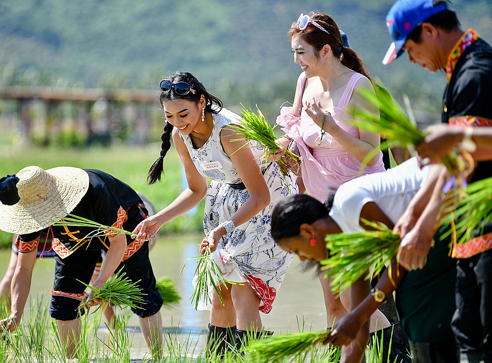 Sanya Paddy Field National Park is a good place to go for parents and children