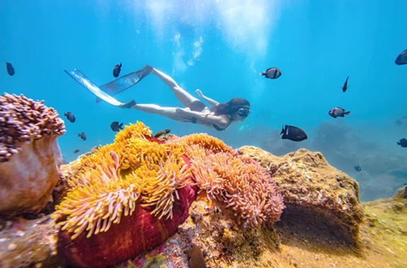 Sanya Escape: A Solo Adventurer’s Weekend Extravaganza