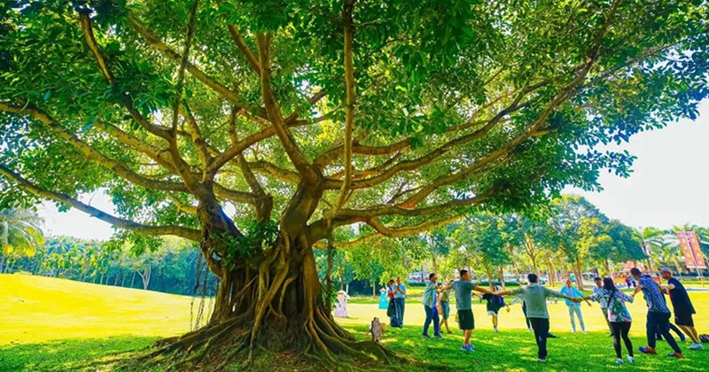 Sanya Flavor Trail: Soul-Warming Bites with Mom and Dad