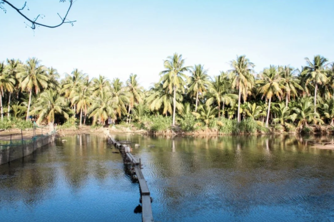 豪门国际官网-追求康健,你我一起生长