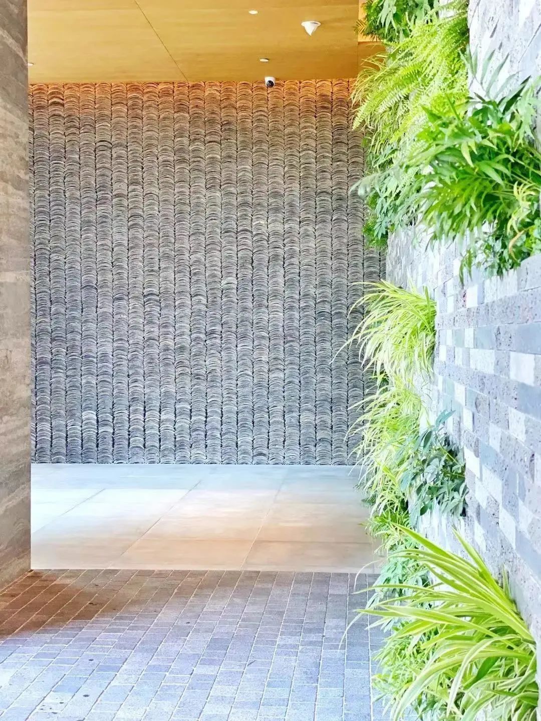 豪门国际官网-追求康健,你我一起生长