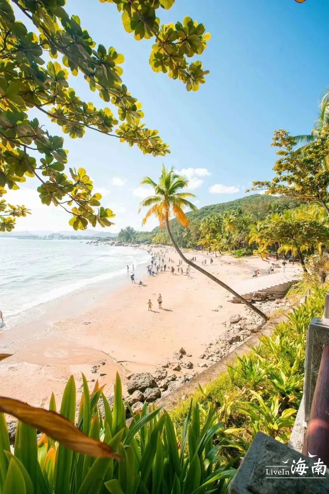 豪门国际官网-追求康健,你我一起生长