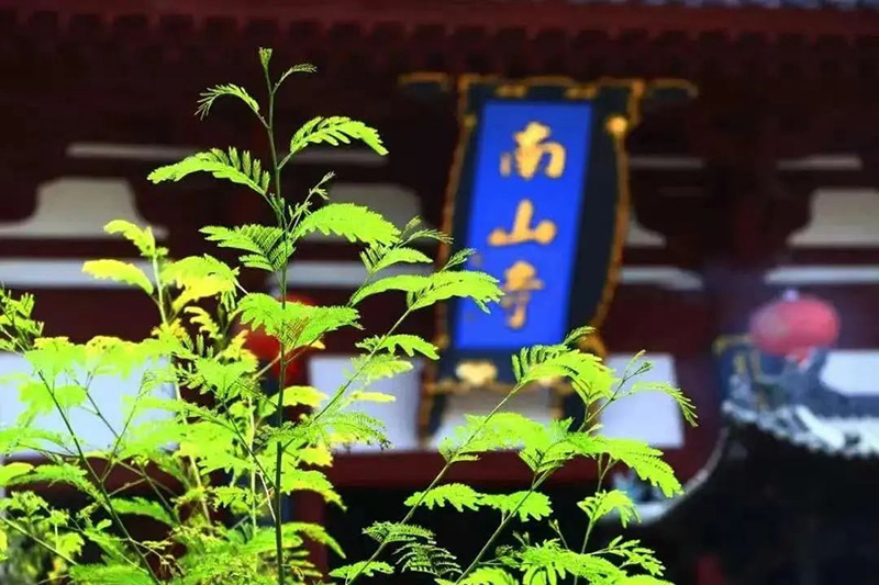 豪门国际官网-追求康健,你我一起生长