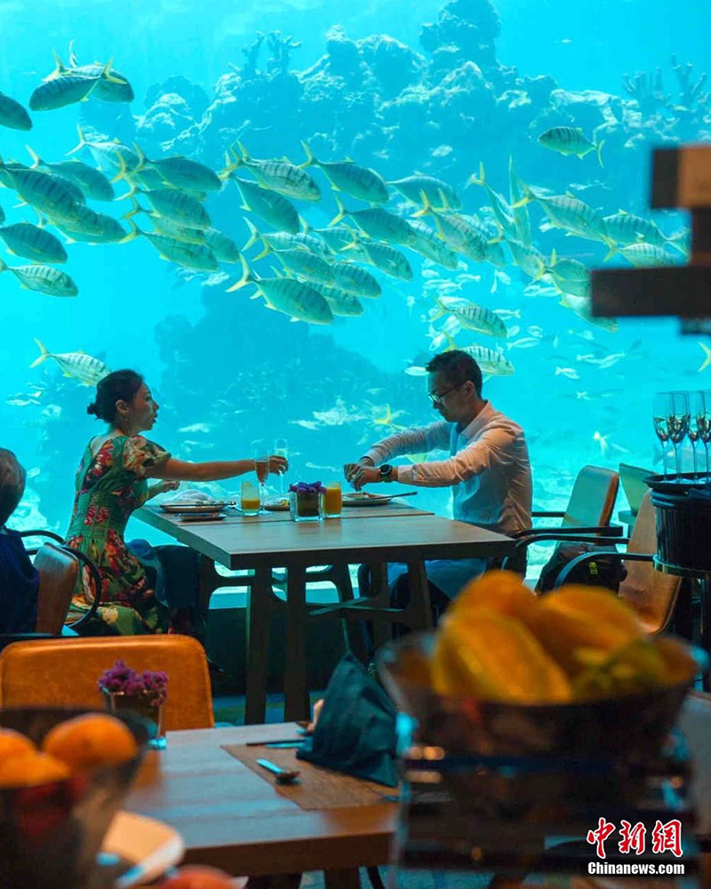 豪门国际官网-追求康健,你我一起生长