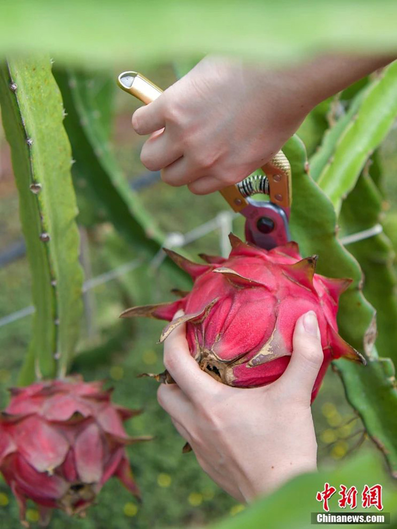 豪门国际官网-追求康健,你我一起生长