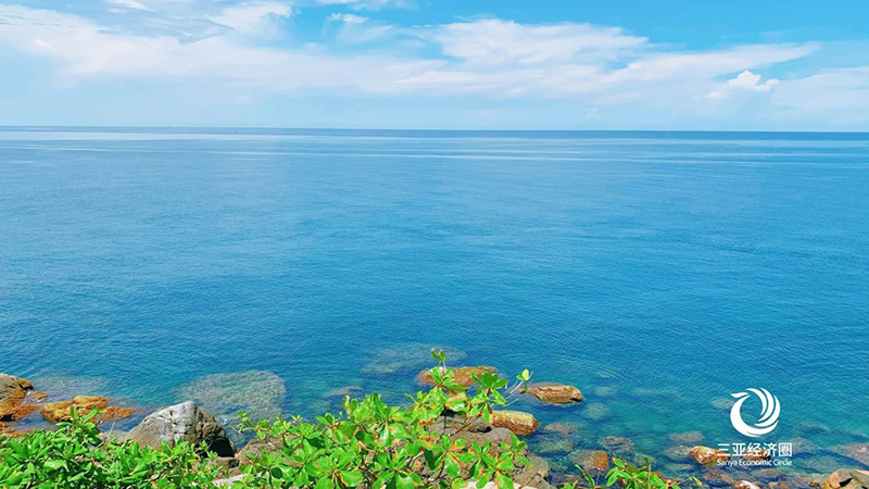 豪门国际官网-追求康健,你我一起生长