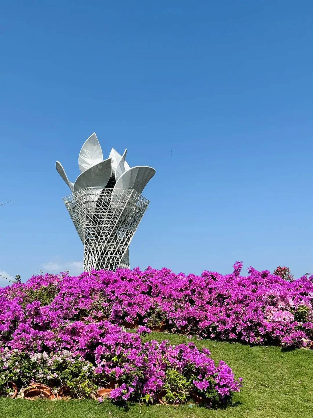 豪门国际官网-追求康健,你我一起生长