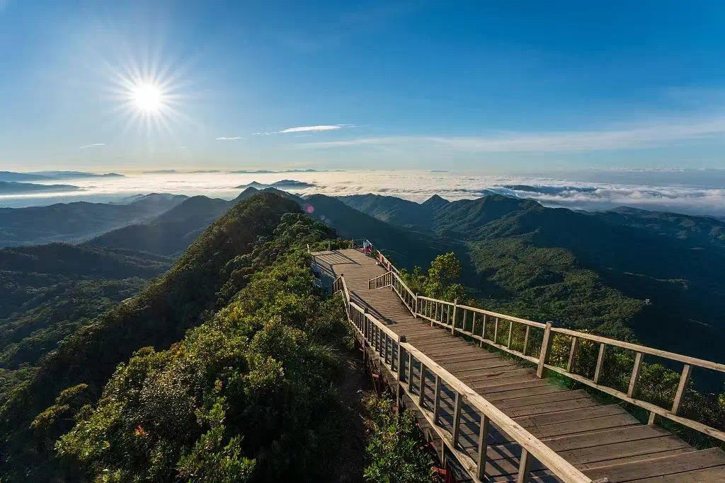 豪门国际官网-追求康健,你我一起生长