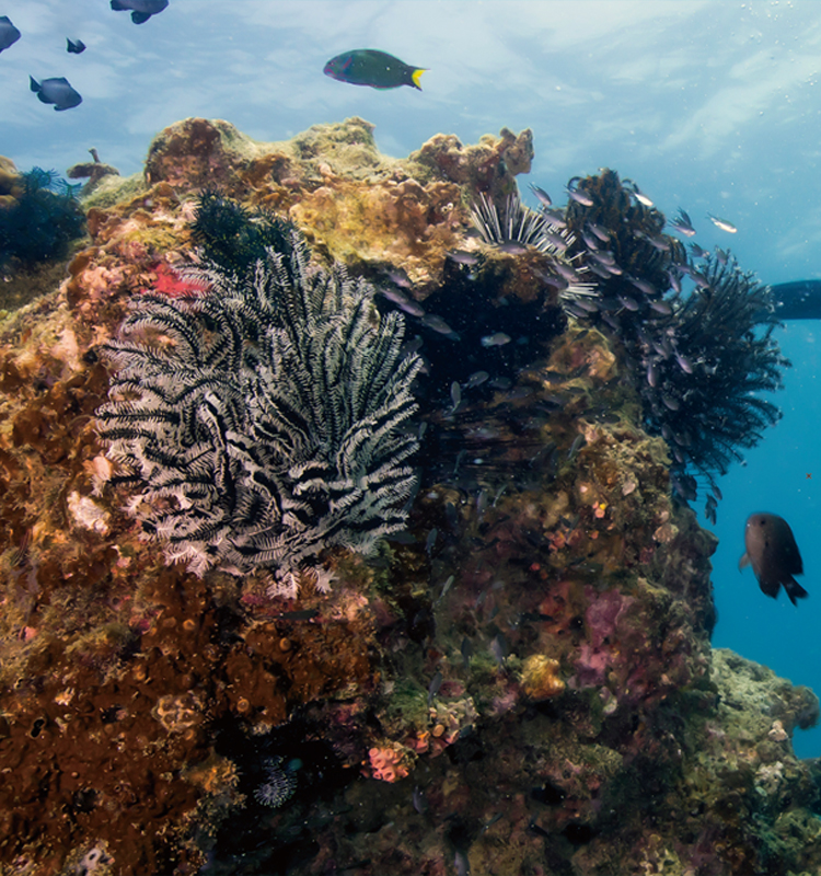 Бюро по продвижению туризма г. Санья