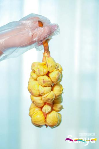 豪门国际官网-追求康健,你我一起生长