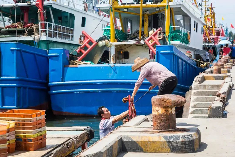 豪门国际官网-追求康健,你我一起生长