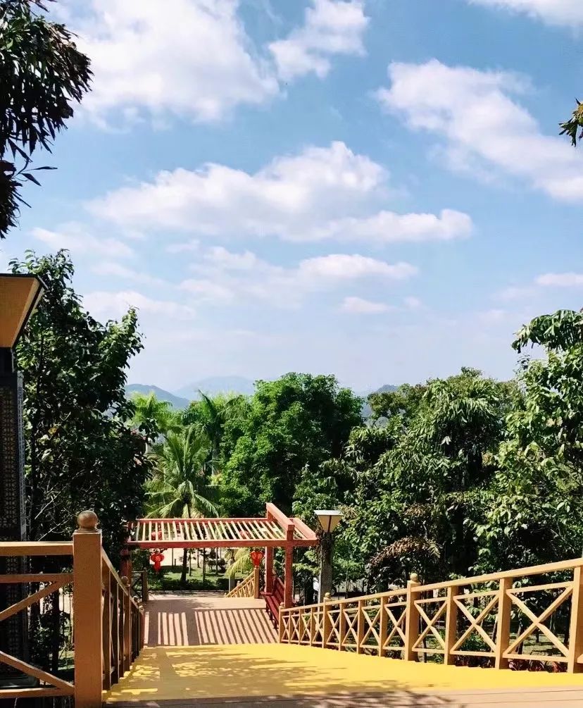 豪门国际官网-追求康健,你我一起生长