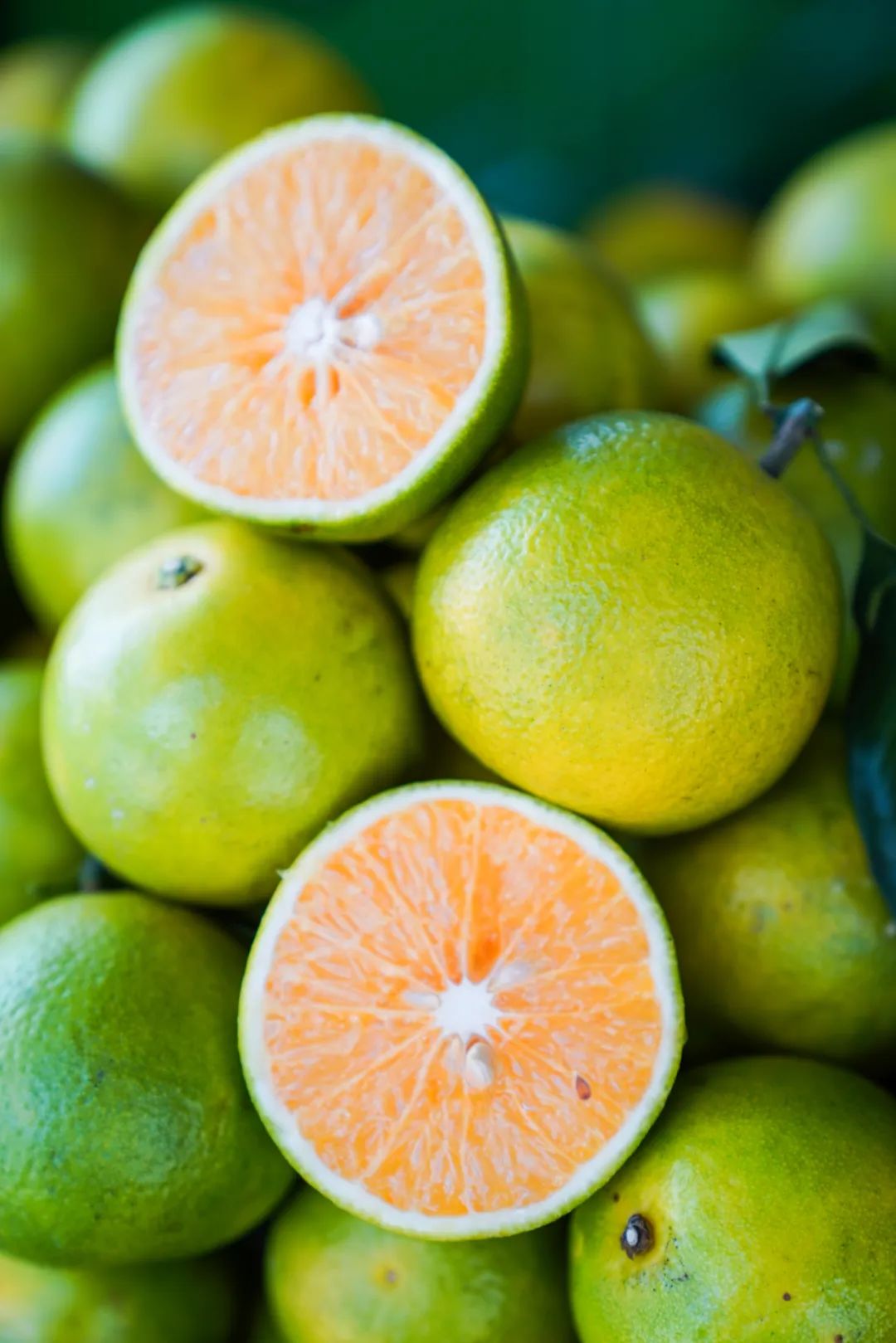 豪门国际官网-追求康健,你我一起生长