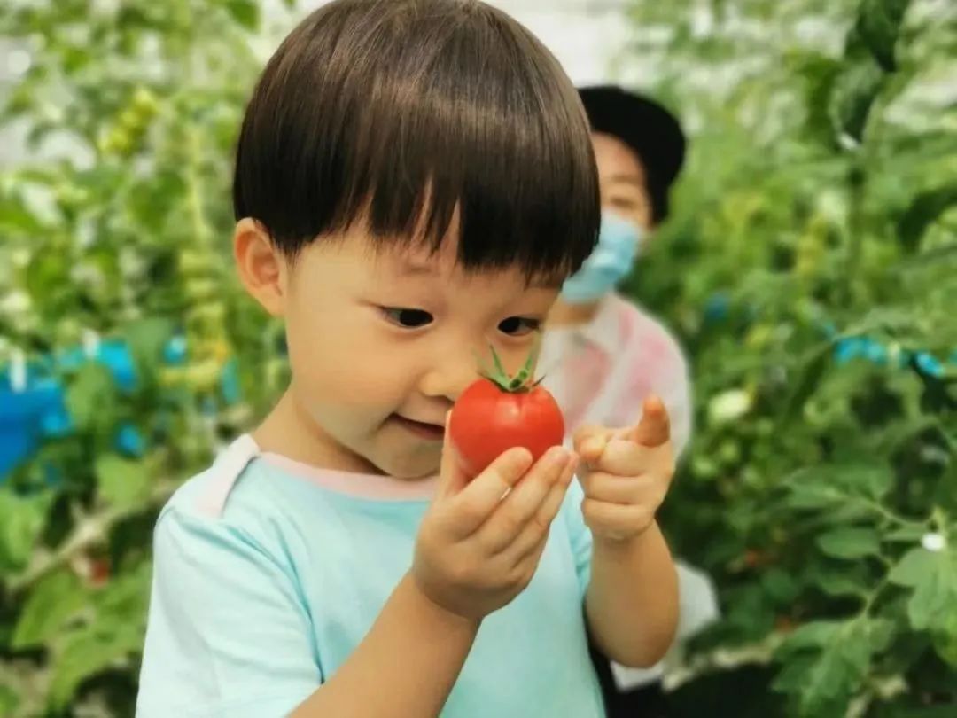 豪门国际官网-追求康健,你我一起生长
