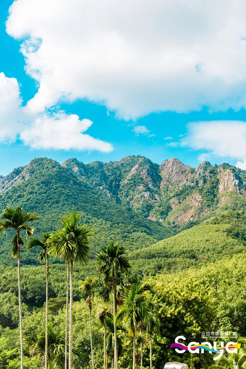 豪门国际官网-追求康健,你我一起生长