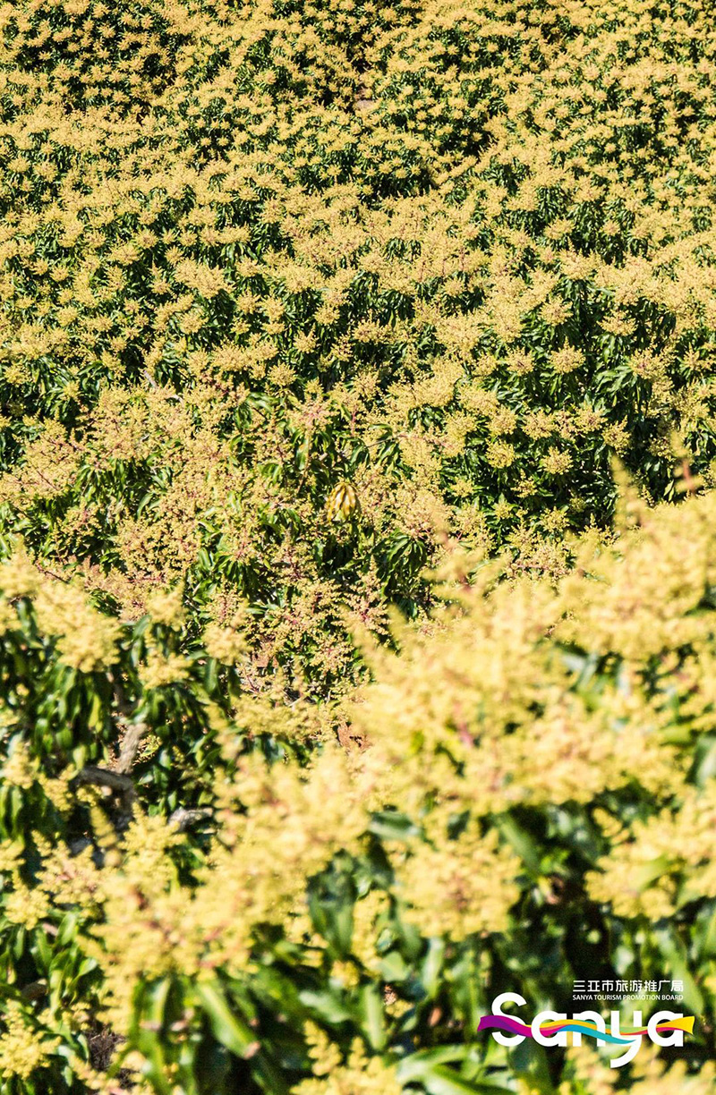 豪门国际官网-追求康健,你我一起生长