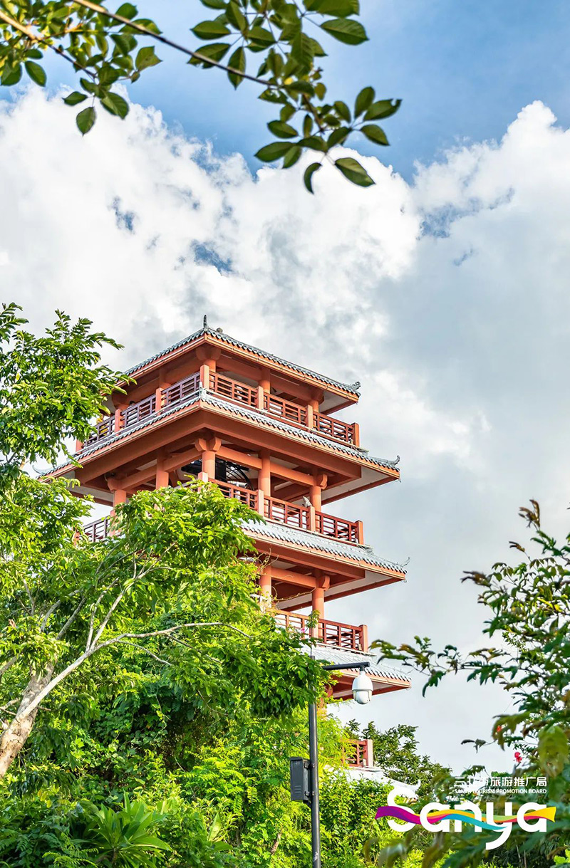 豪门国际官网-追求康健,你我一起生长