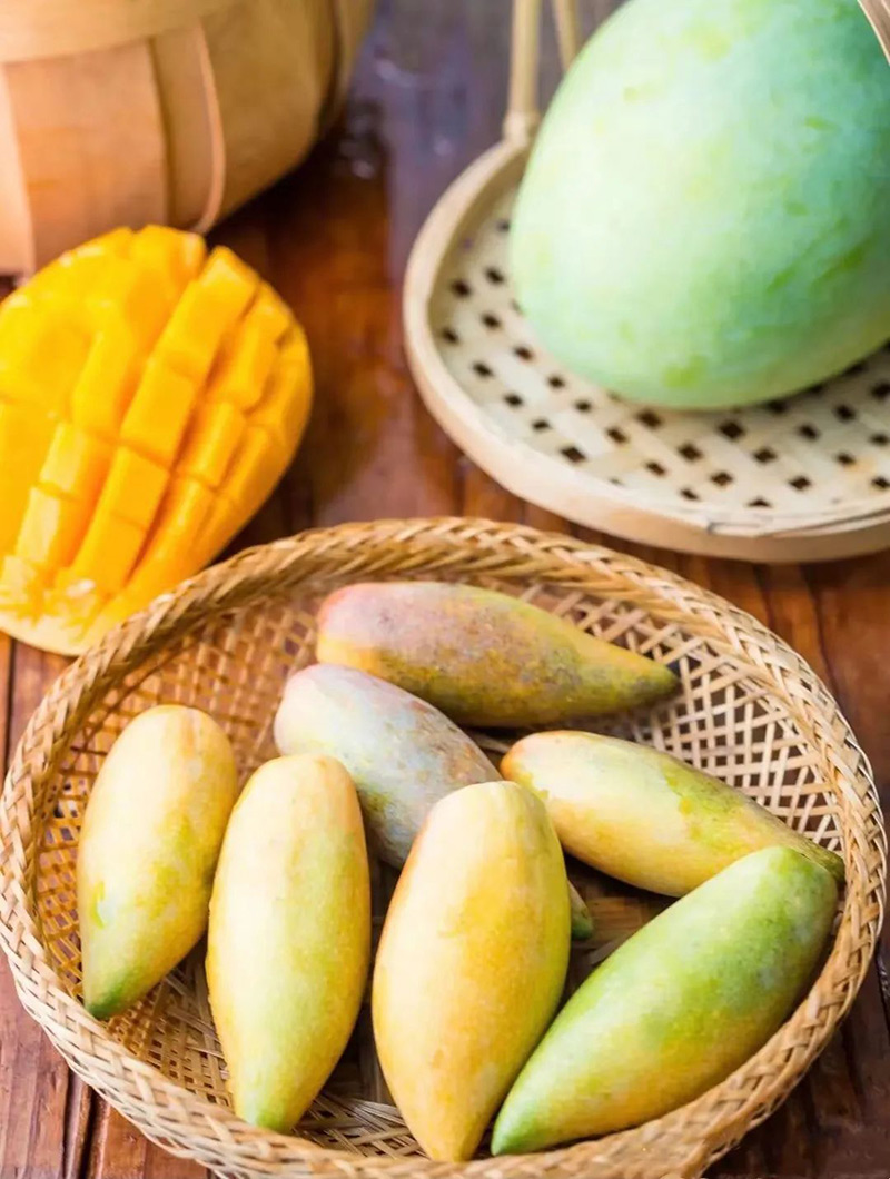 豪门国际官网-追求康健,你我一起生长