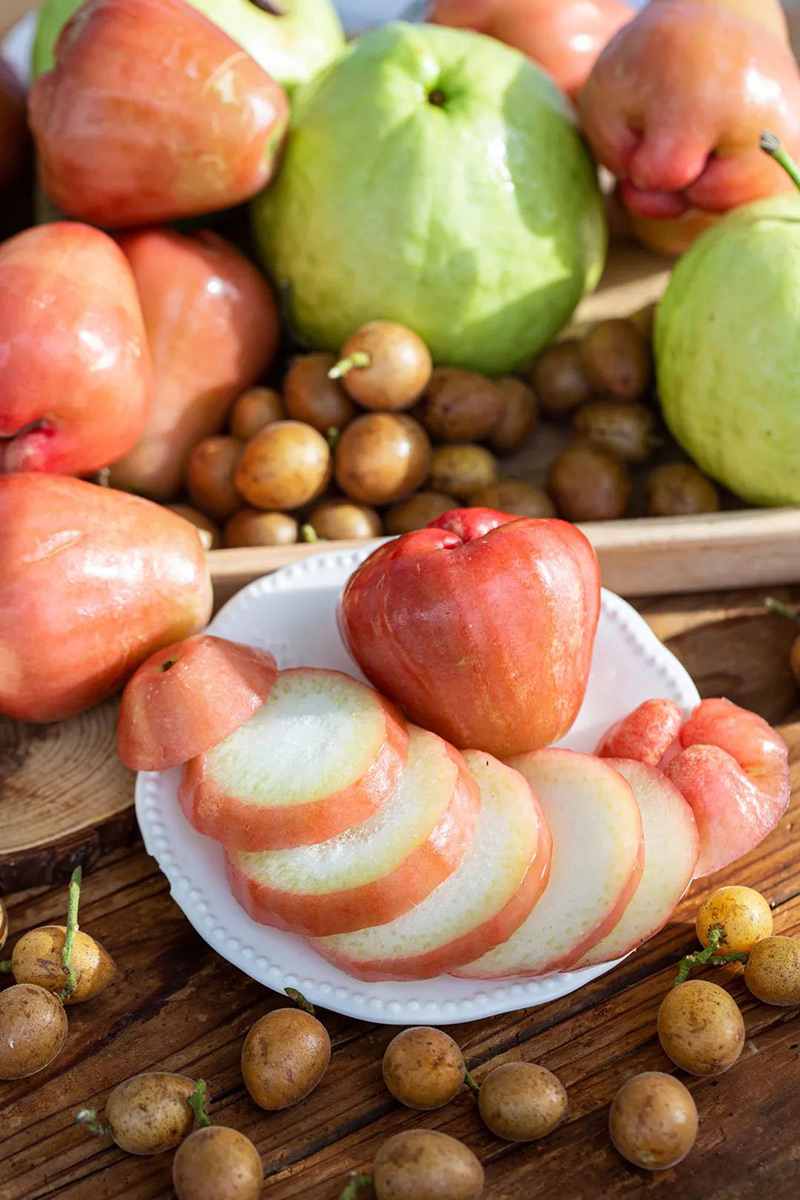 豪门国际官网-追求康健,你我一起生长