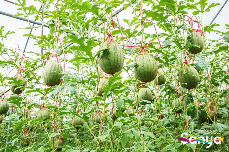 豪门国际官网-追求康健,你我一起生长