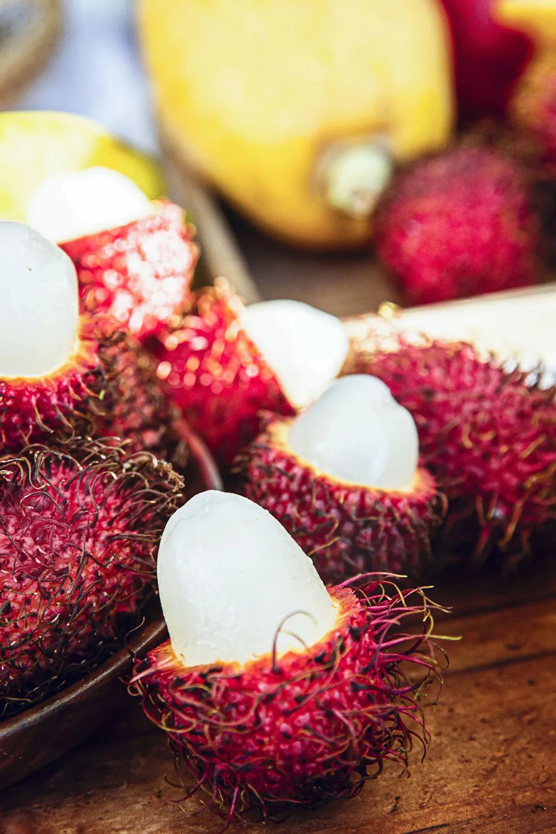 豪门国际官网-追求康健,你我一起生长