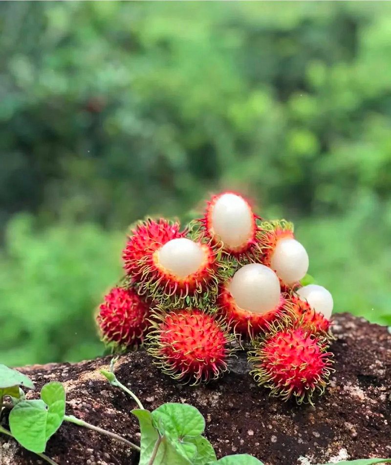 豪门国际官网-追求康健,你我一起生长