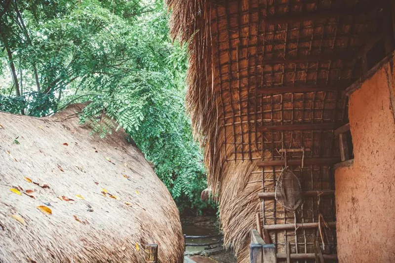 豪门国际官网-追求康健,你我一起生长