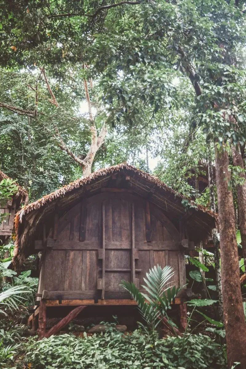 豪门国际官网-追求康健,你我一起生长