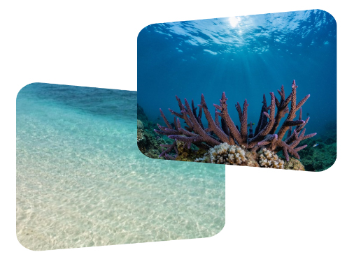 豪门国际官网-追求康健,你我一起生长