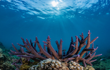 豪门国际官网-追求康健,你我一起生长