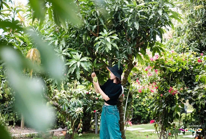 豪门国际官网-追求康健,你我一起生长