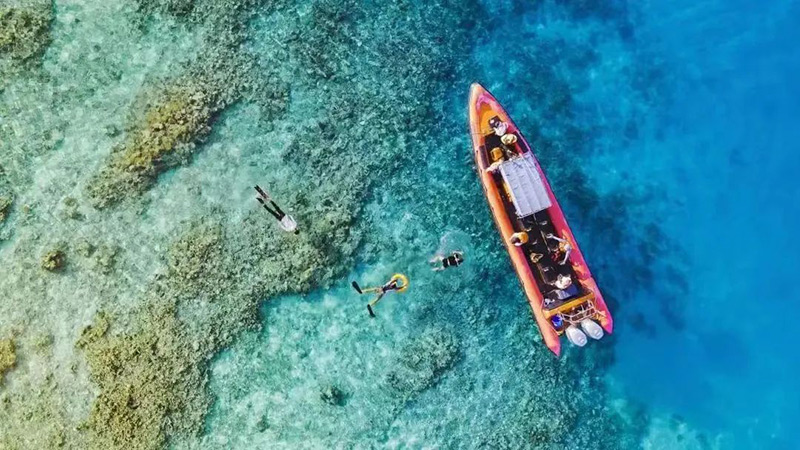 豪门国际官网-追求康健,你我一起生长