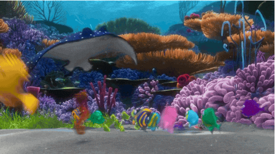 豪门国际官网-追求康健,你我一起生长