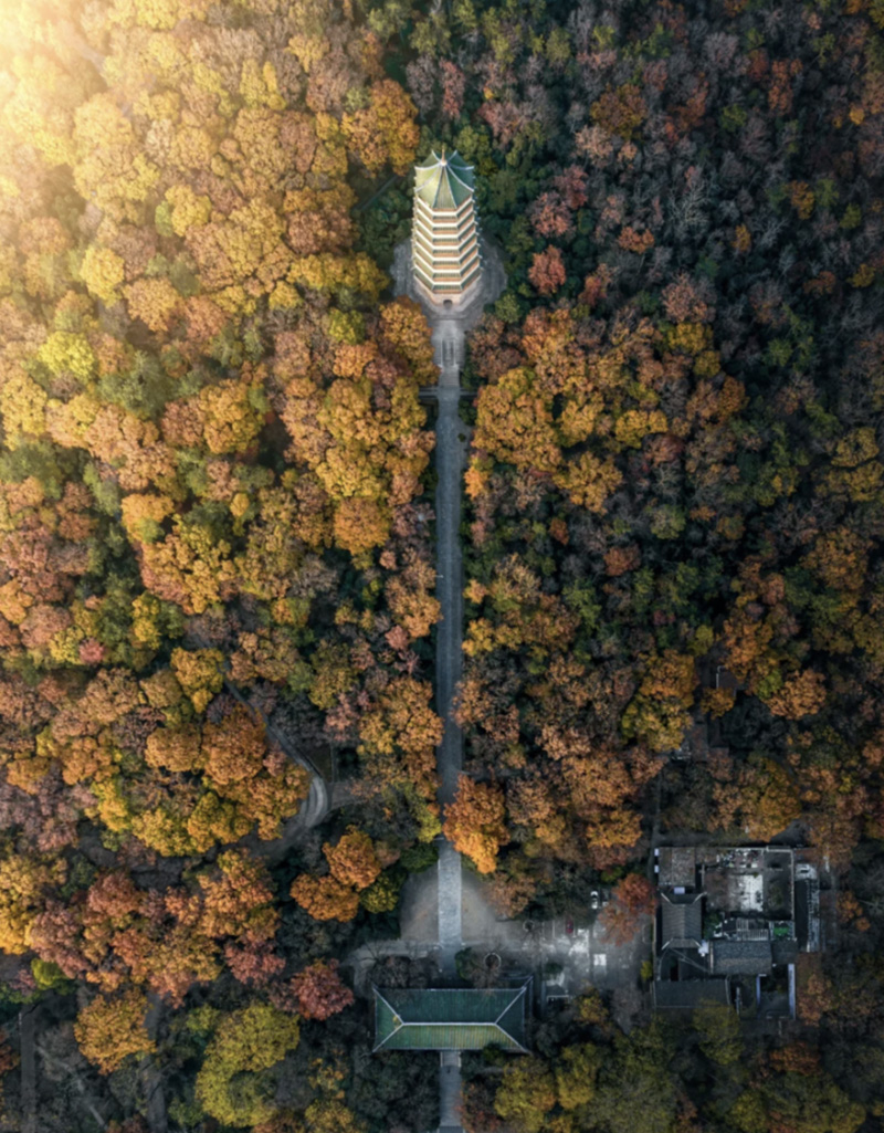 豪门国际官网-追求康健,你我一起生长