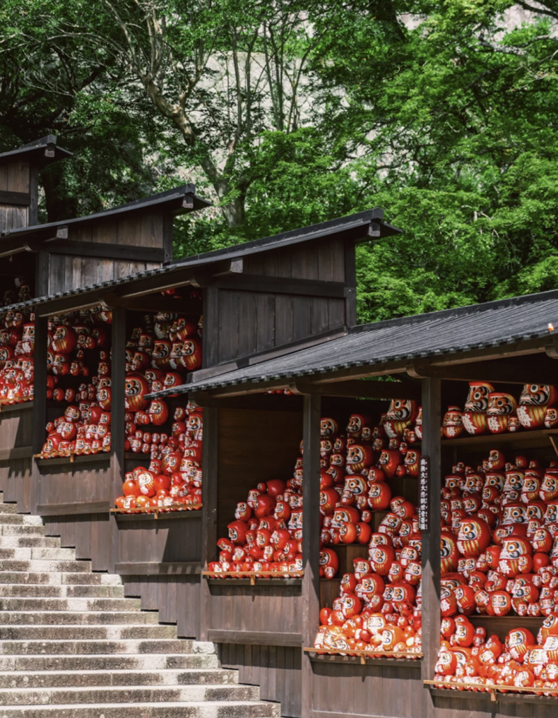 豪门国际官网-追求康健,你我一起生长