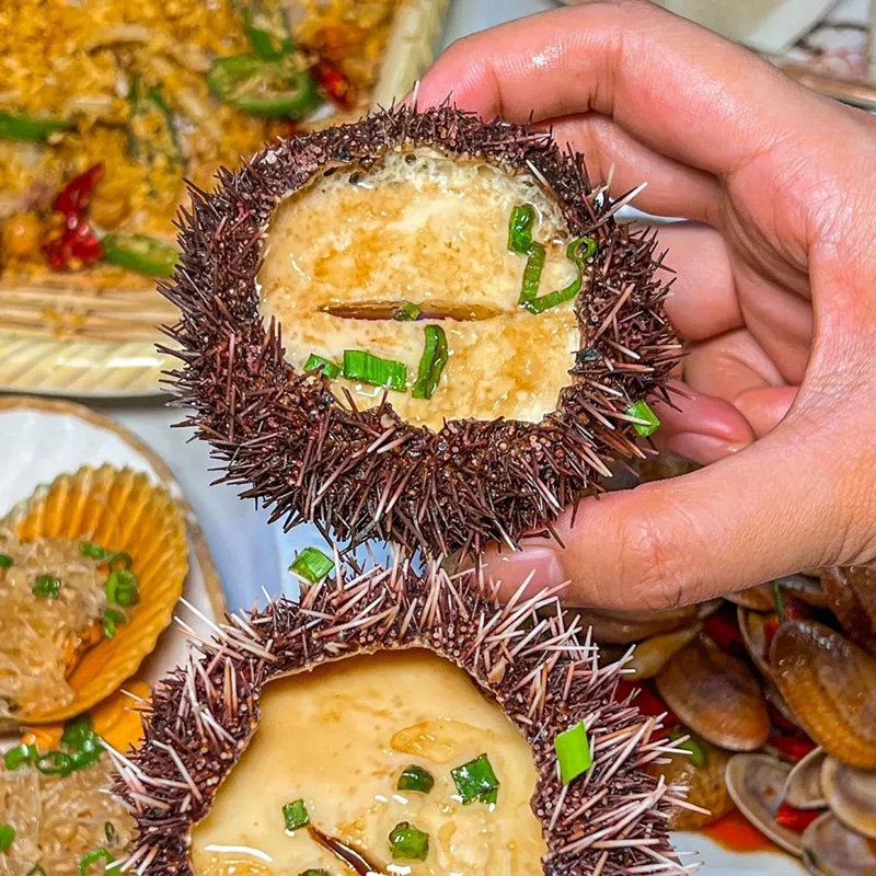 豪门国际官网-追求康健,你我一起生长