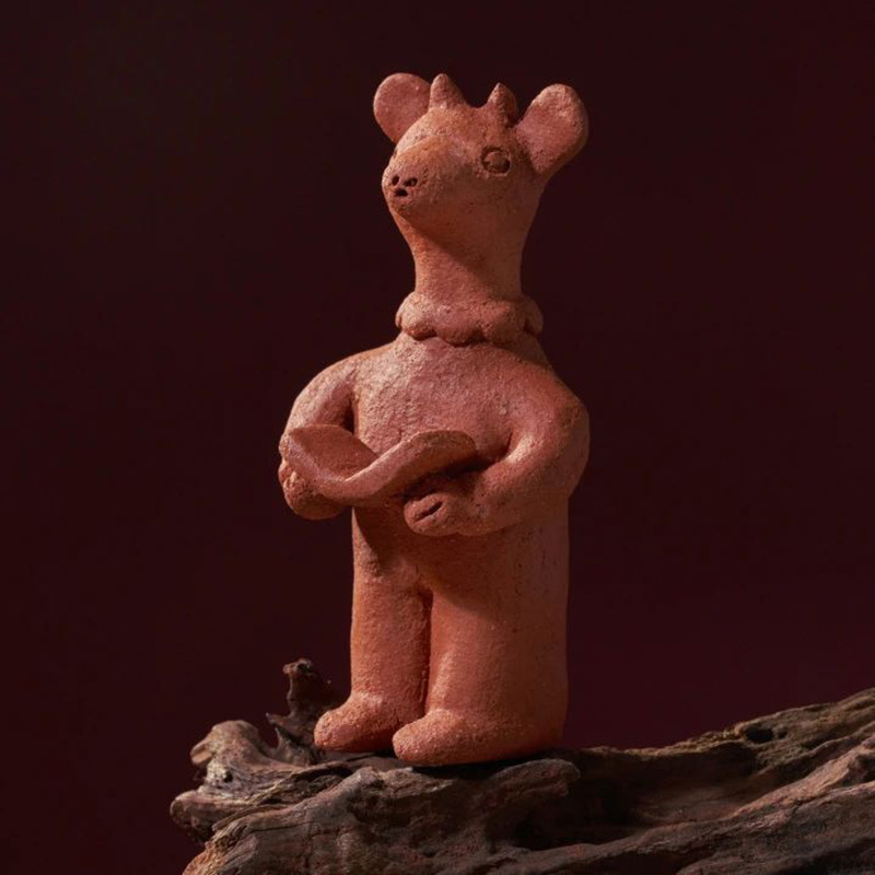 豪门国际官网-追求康健,你我一起生长