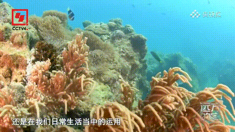 豪门国际官网-追求康健,你我一起生长