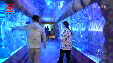 豪门国际官网-追求康健,你我一起生长