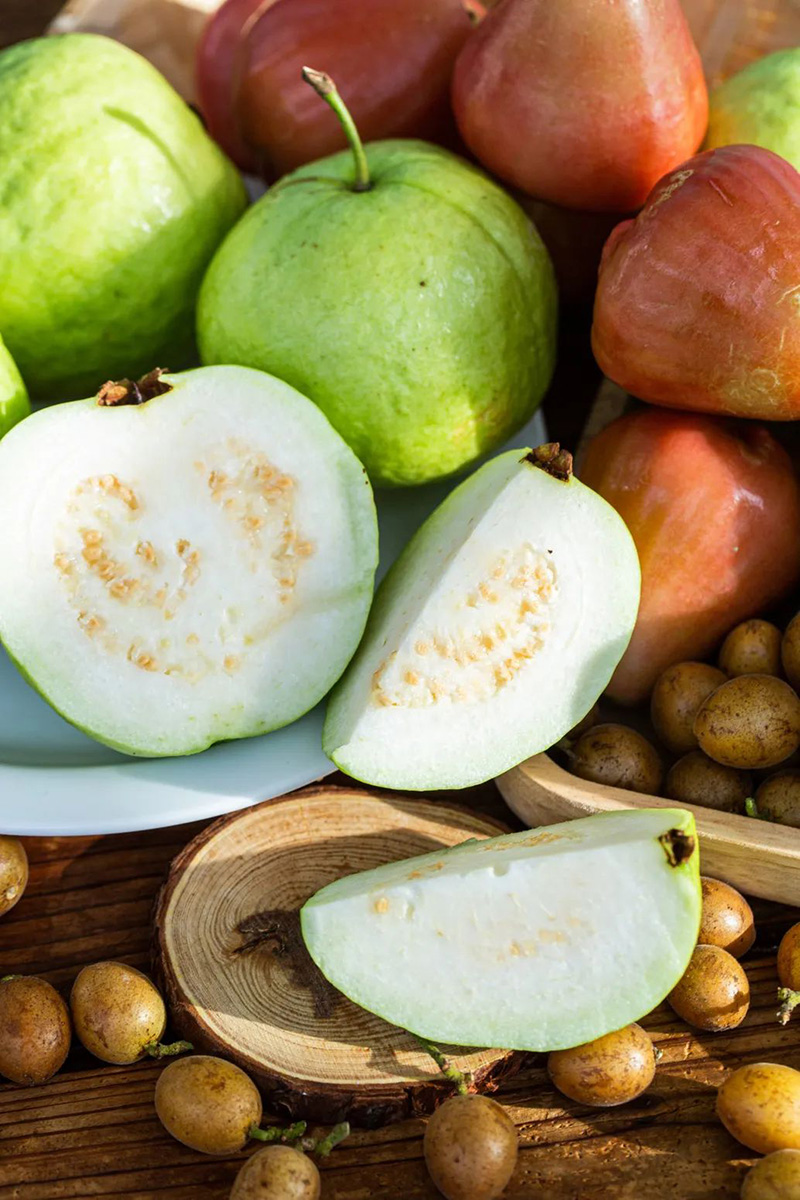 豪门国际官网-追求康健,你我一起生长