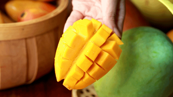 豪门国际官网-追求康健,你我一起生长