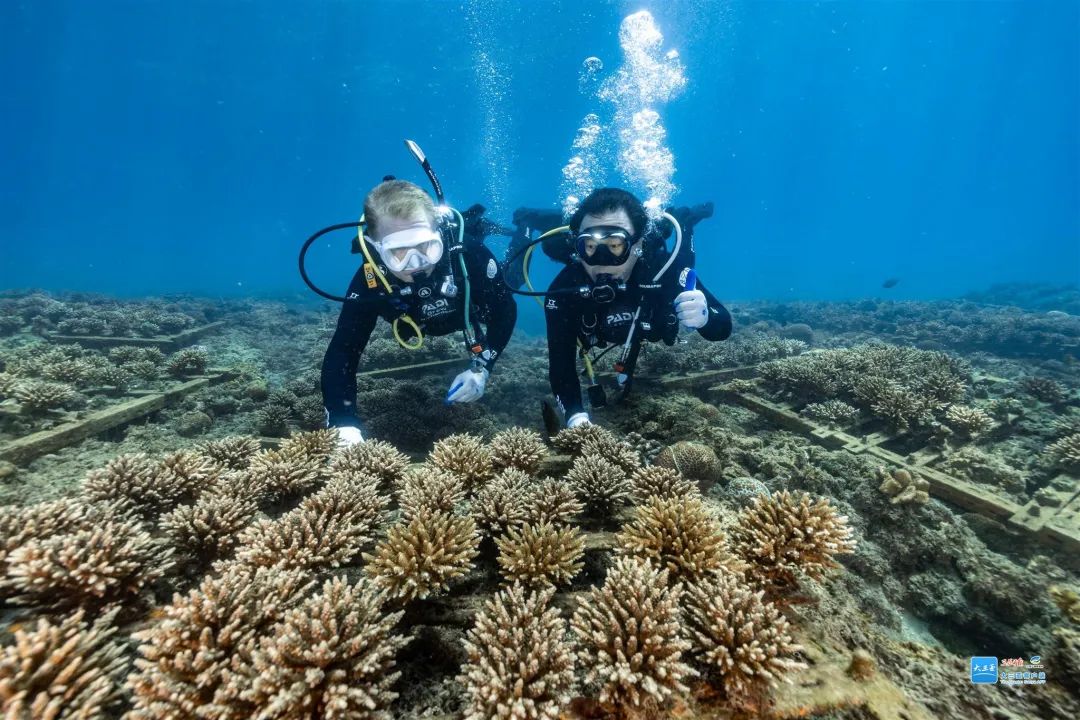 豪门国际官网-追求康健,你我一起生长