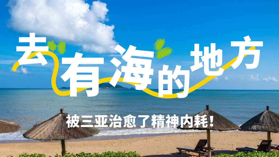 去有海的地方，，，，被豪门国际官网治愈了精神内讧