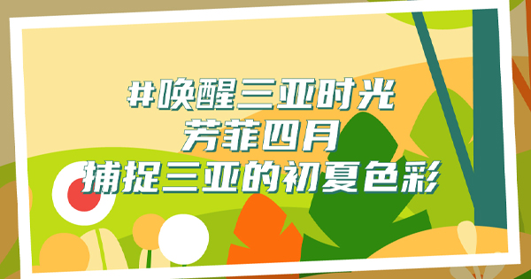豪门国际官网的角落，，，，藏着初夏的颜色