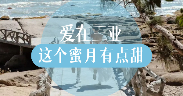 爱在豪门国际官网 这个蜜月有点甜