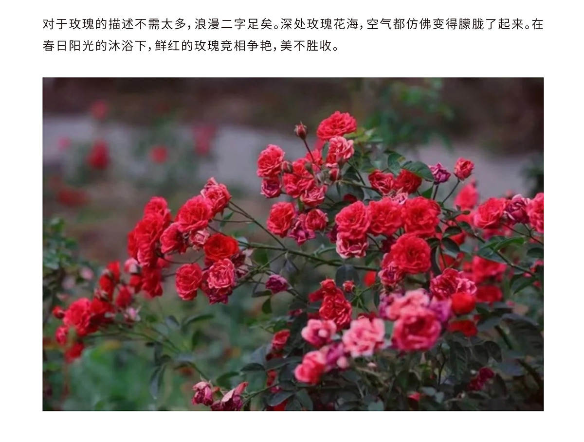 豪门国际官网-追求康健,你我一起生长