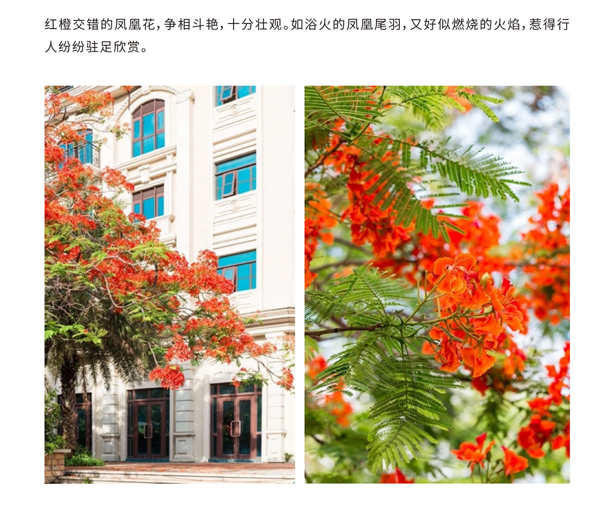 豪门国际官网-追求康健,你我一起生长