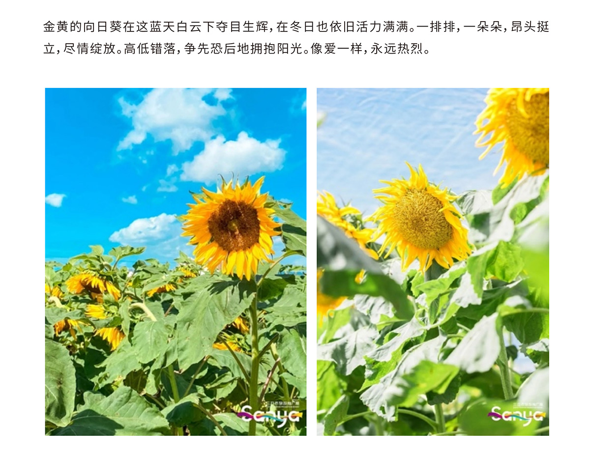 豪门国际官网-追求康健,你我一起生长