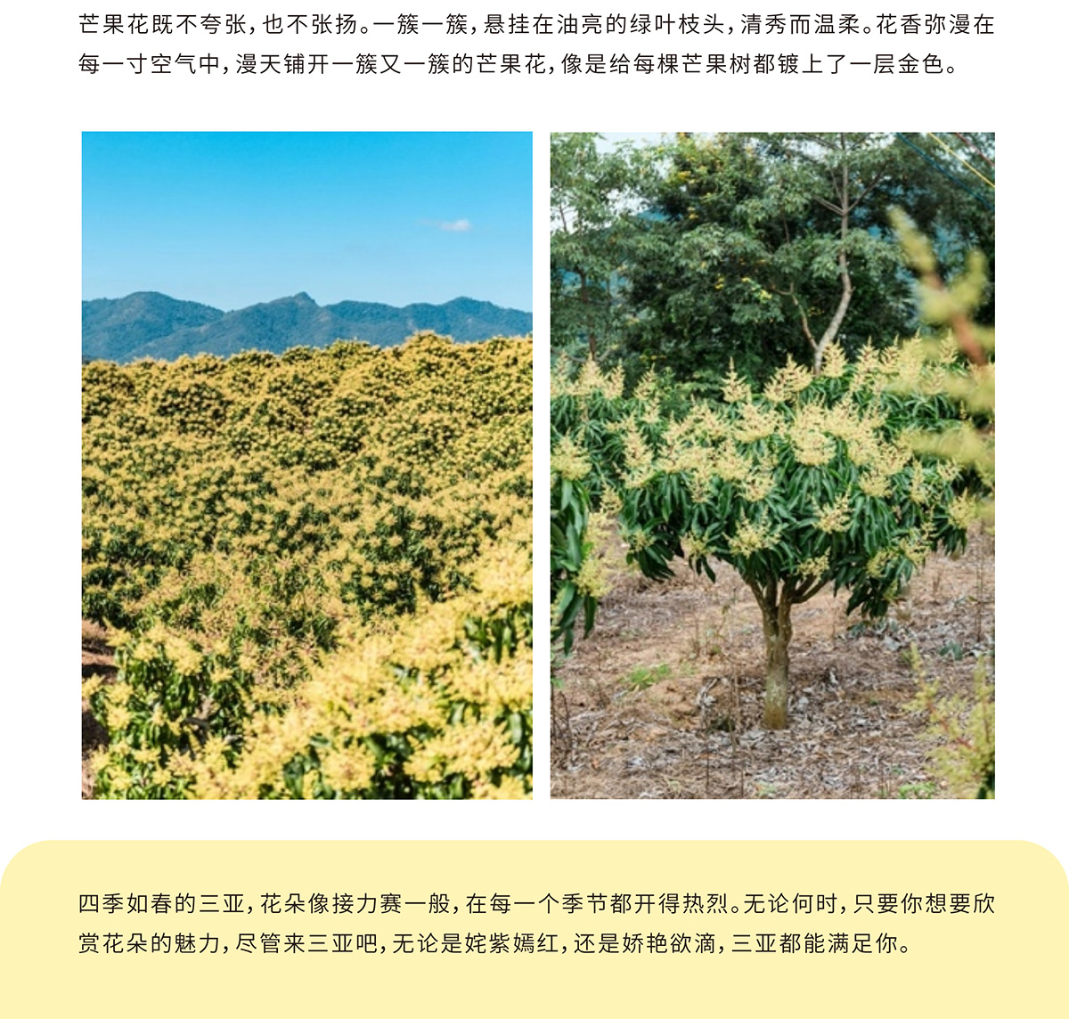豪门国际官网-追求康健,你我一起生长