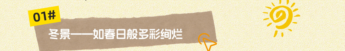 豪门国际官网-追求康健,你我一起生长